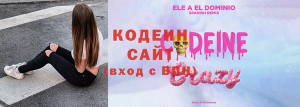 тгк Вяземский