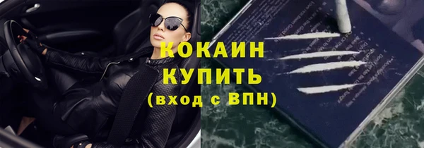 прущая мука Горняк