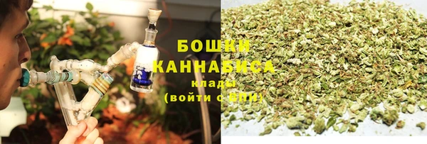 мдпв Горно-Алтайск