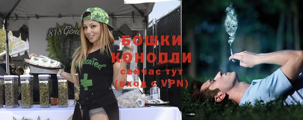 тгк Вяземский