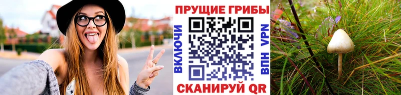 Купить закладки  Кудымкар  Псилоцибиновые грибы мухоморы 