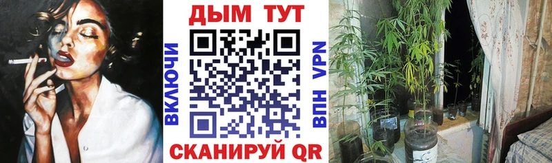 Купить  Кудымкар  МАРИХУАНА VHQ 